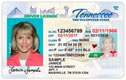 Tennessee Driver's Licence Photo