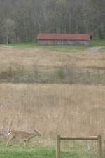 Bells Bend Barn