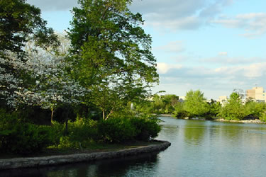 Lake Watauga in Centennial Park