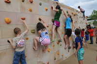 Cumberland Park: Climbing Wall