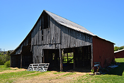 Southeast Barn