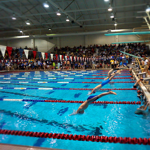 swim meet; swimmers jumping in the water