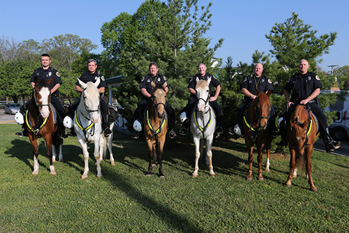 Mounted Horse Patrol group photo, 2017