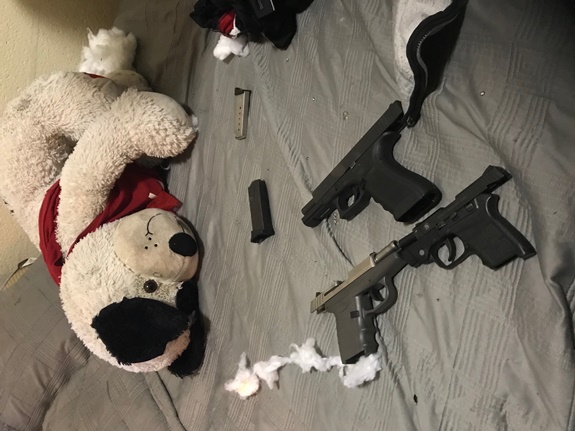 Seized guns guns from teddy bear