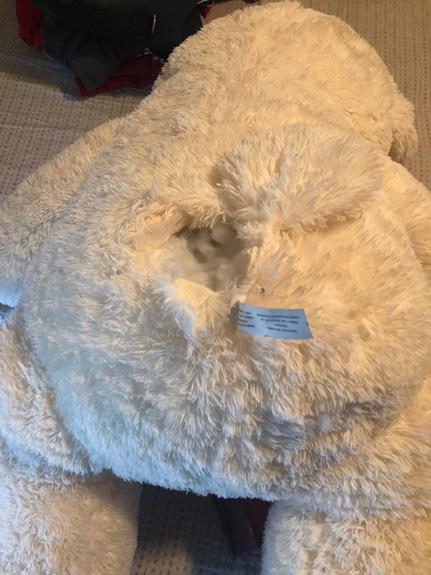 Teddy bear