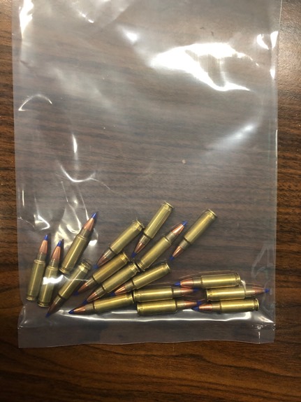 Seized ammunition