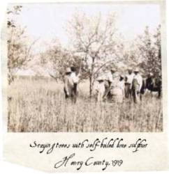 Spraying trees with soft-boiled lime and sulfphur, Henry County, 1919