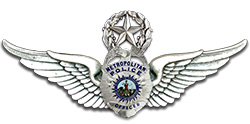 MNPD Wings badge